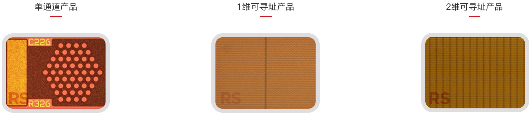 车规.png